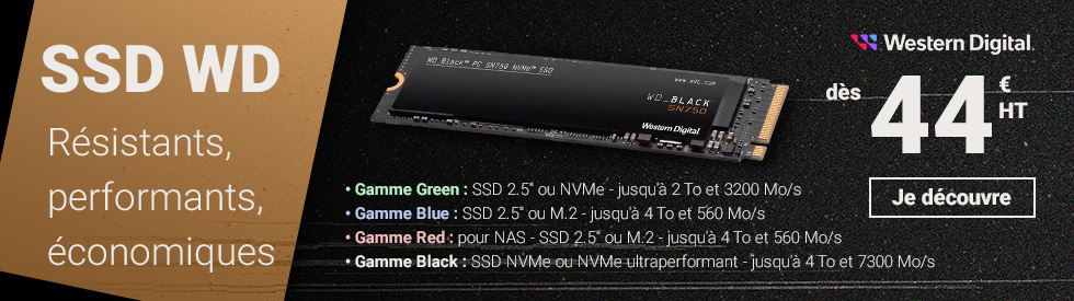Western Digital – WD Blue SSD – Disque SSD interne 2.5″ SATA 250Go
