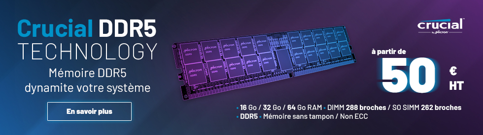 Crucial Pro - 1 x 16 Go (16 Go) - DDR5 5600 MHz - CL46 - Mémoire Crucial  sur